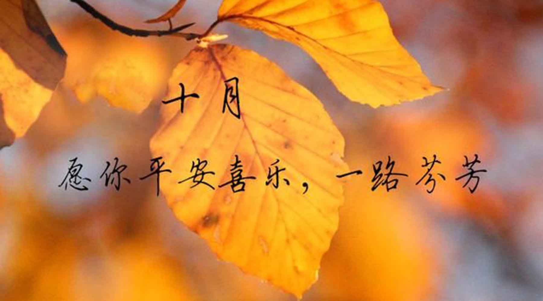 十月，致重要的你