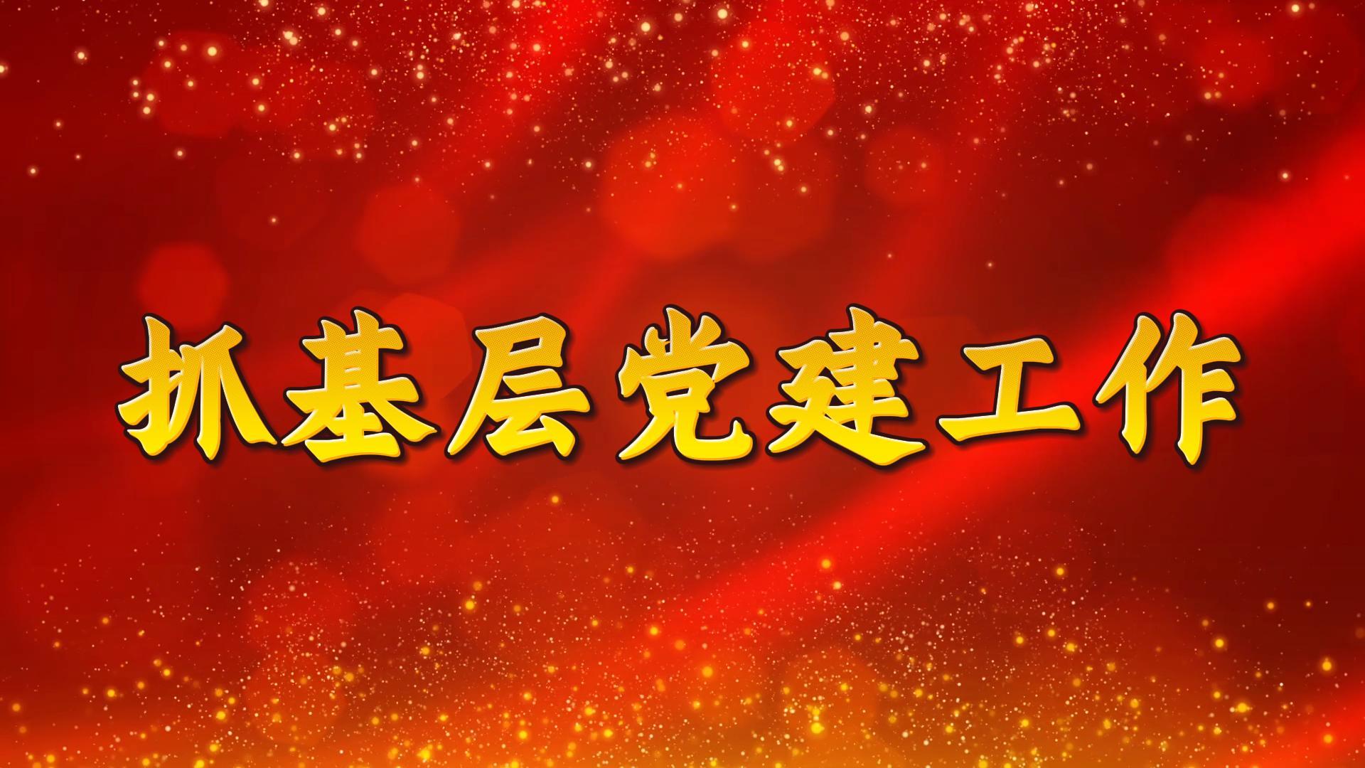 河北省市委書(shū)記抓基層黨建工作述職評(píng)議會(huì)議在石家莊召開(kāi)